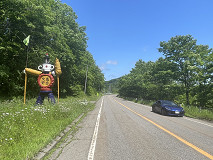 241
